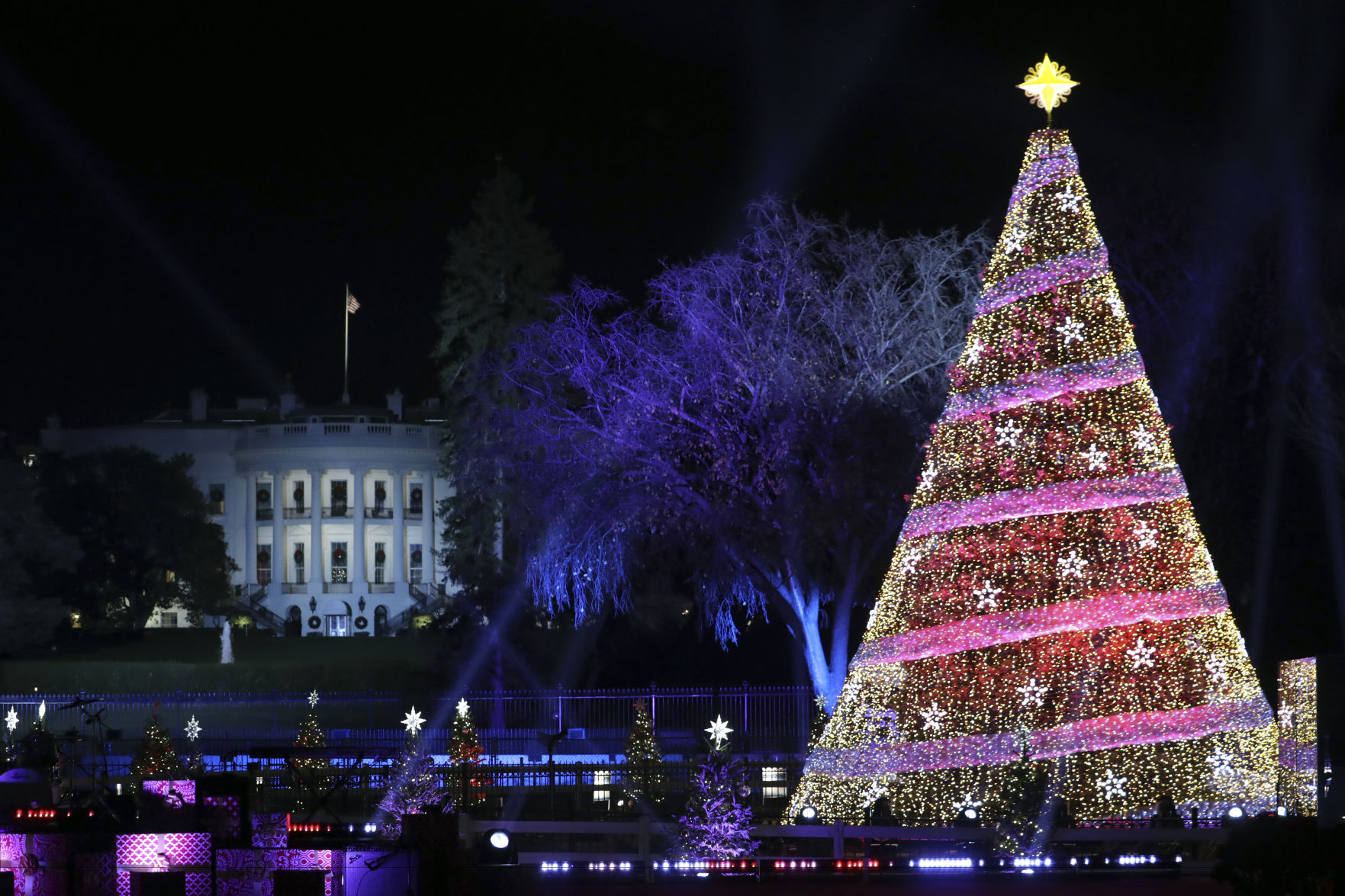 Trump Christmas Tree
